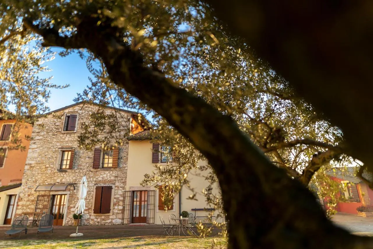 Musella Winery & Relais Guest House San Martino Buon Albergo 0*,  Italy